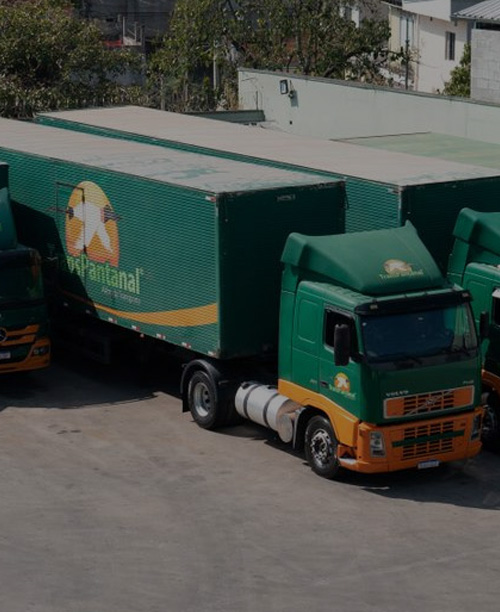 Transporte Rodoviário