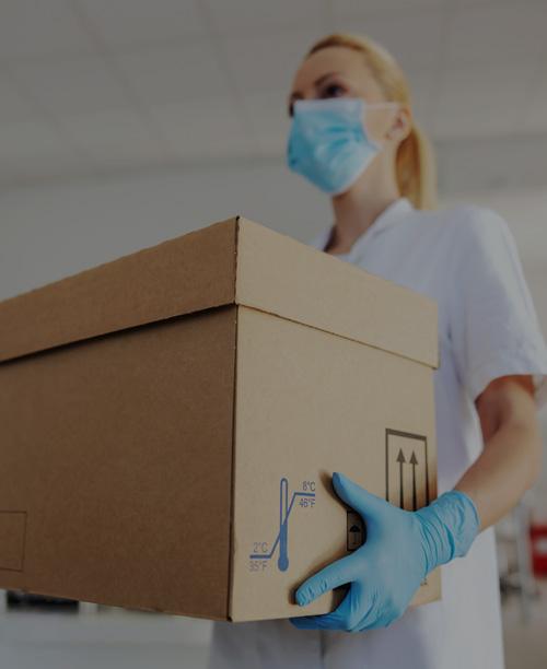 Transporte de Correlatos